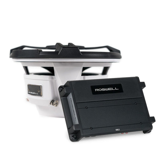 Roswell RMA 10 Subwoofer Package Black C9202552