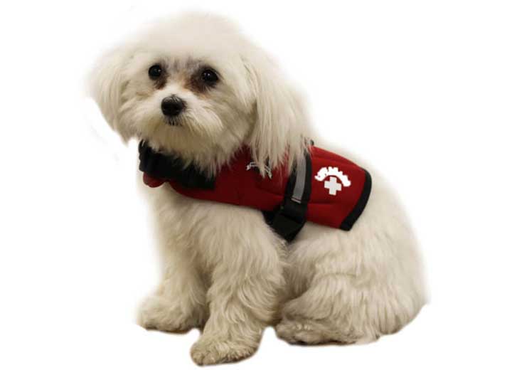 Fido Pet Products Xxs - Red Lifeguard Neoprene Dog Life Jacket - Dog Flotation Devices