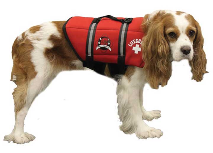 Fido Pet Products S - Red Lifeguard Neoprene Dog Life Jacket - Dog Flotation Devices