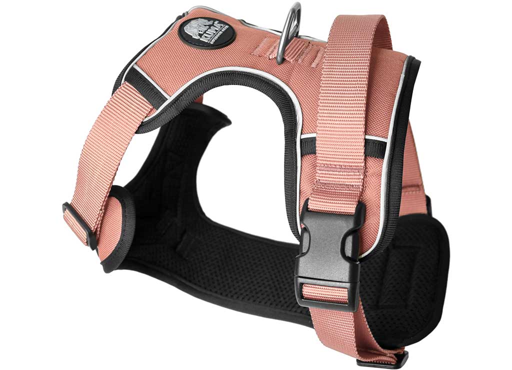 Kuma Outdoor Gear Lazy Bear Dog Harness - Small - Flamingo - Dog Safety Vests, Harnesses, Saddle Bags, & Walker Waist Packs