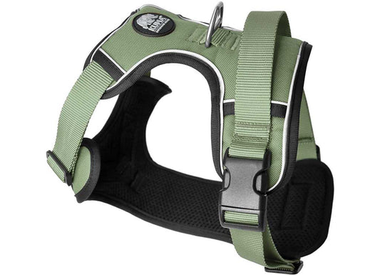 Kuma Outdoor Gear Lazy Bear Dog Harness - Small - Sage - Dog Safety Vests, Harnesses, Saddle Bags, & Walker Waist Packs