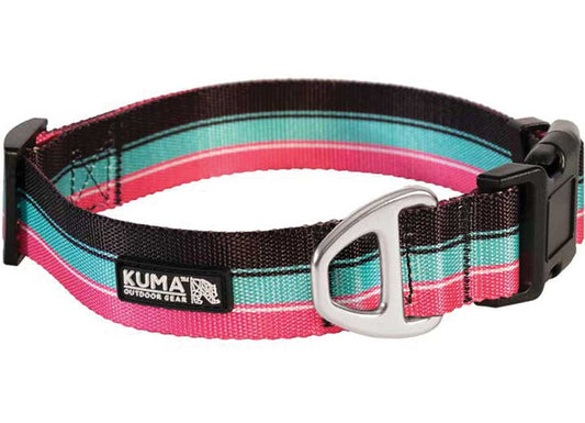 Kuma Outdoor Gear Backtrack Dog Collar - Medium - 14-20IN - Vice - Black/pink/teal - Dog Collars