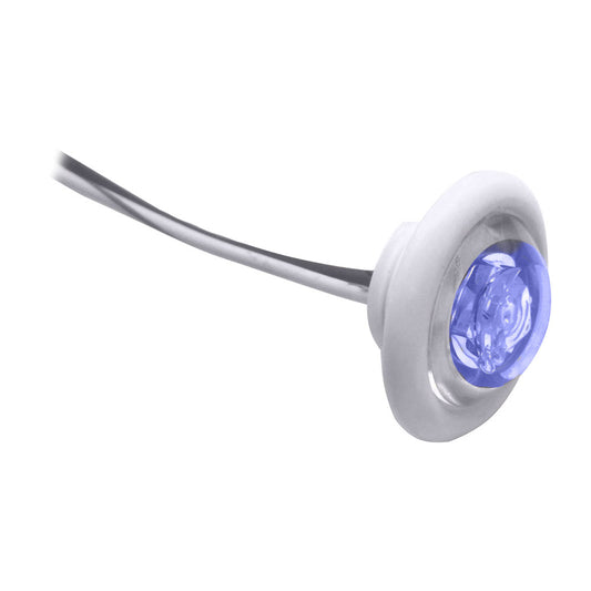 Innovative Lighting LED BulkheadLivewell Light The Shortie Blue LED w White Grommet 01125407